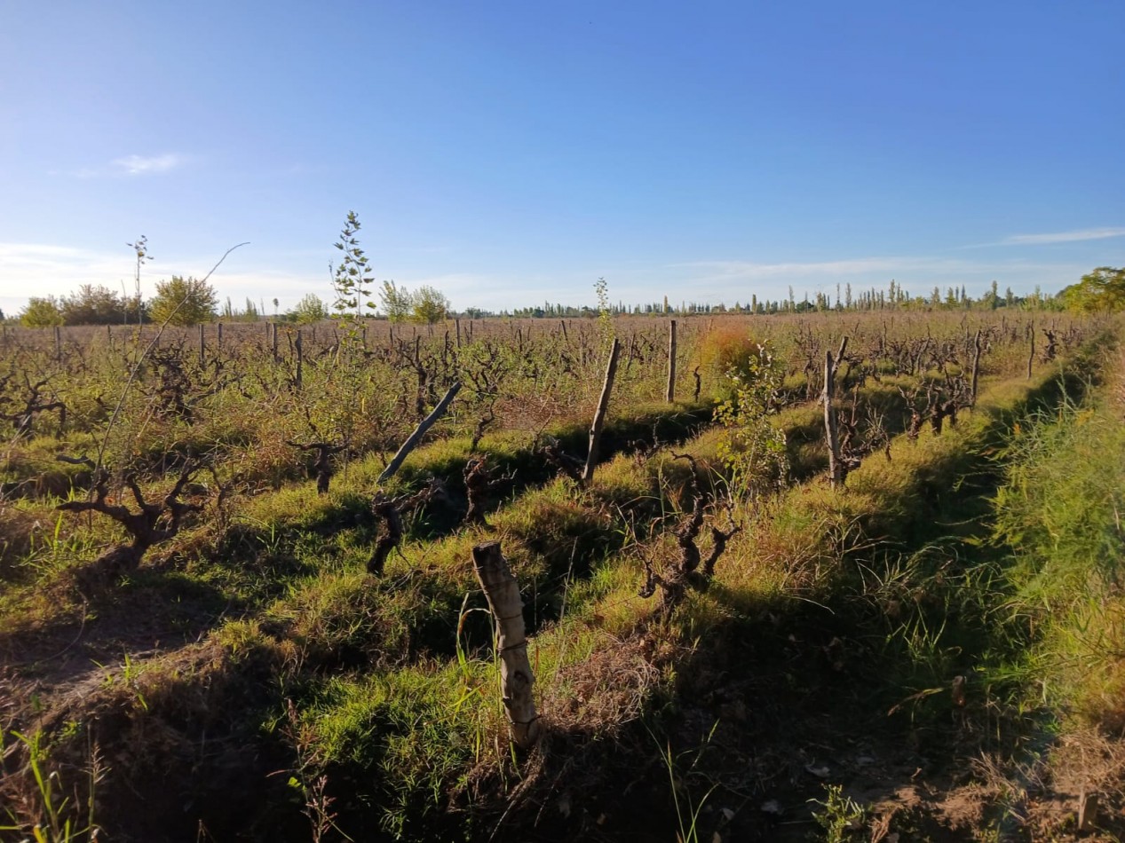 FINCA