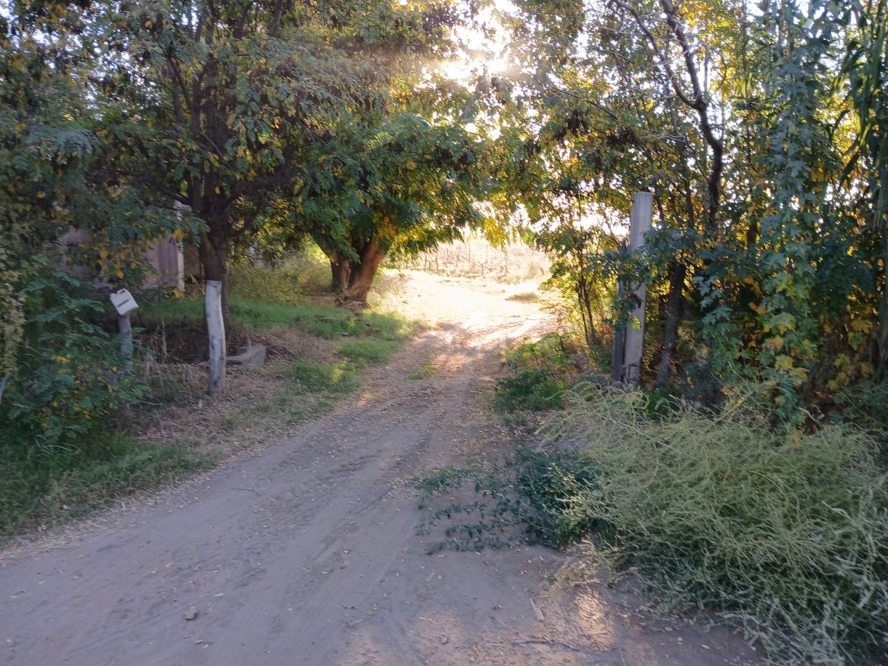FINCA