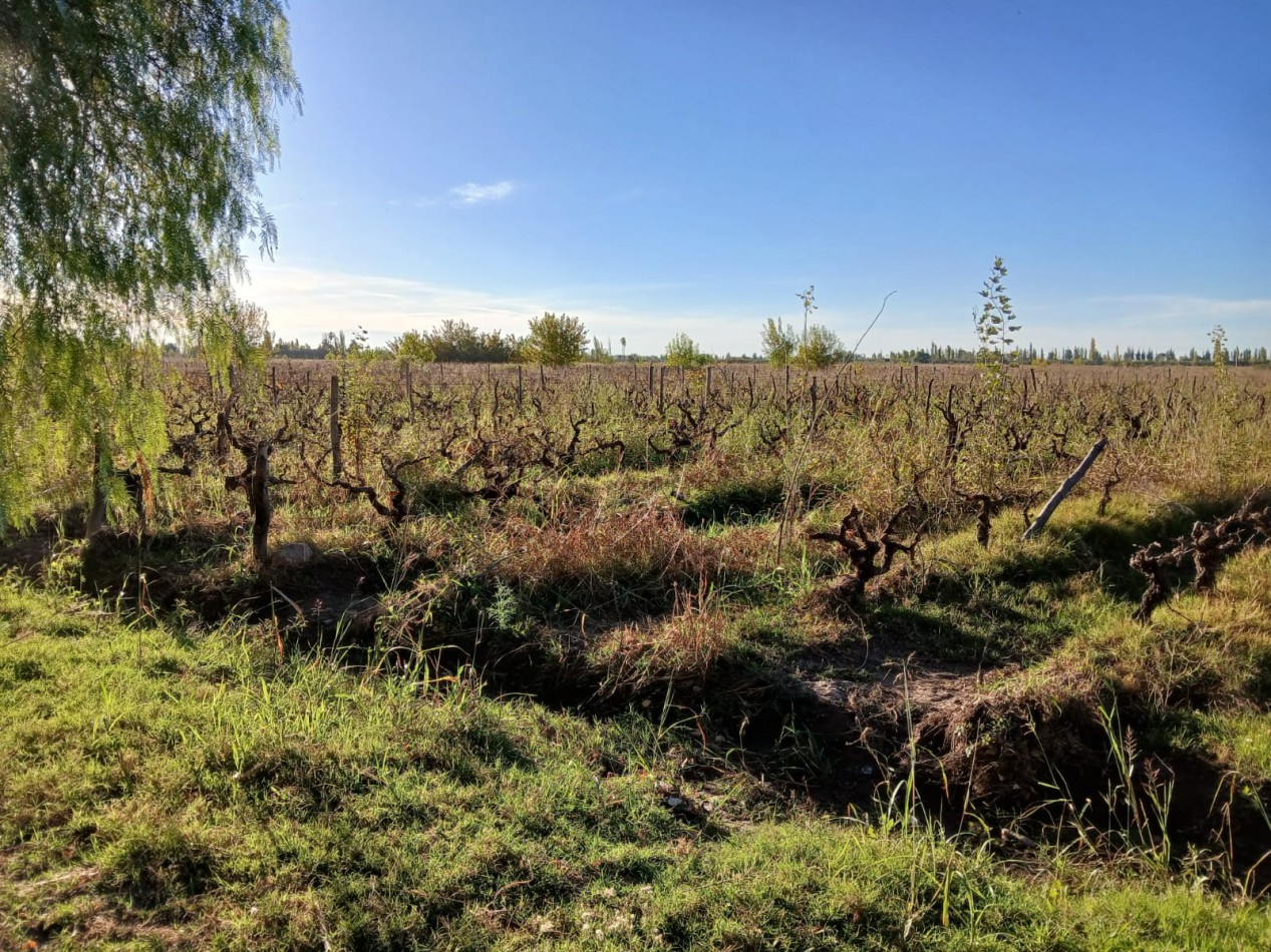 FINCA