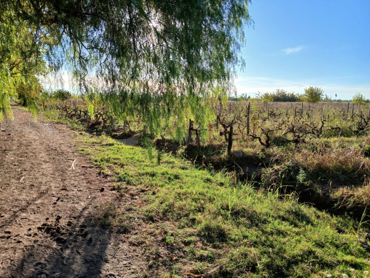 FINCA