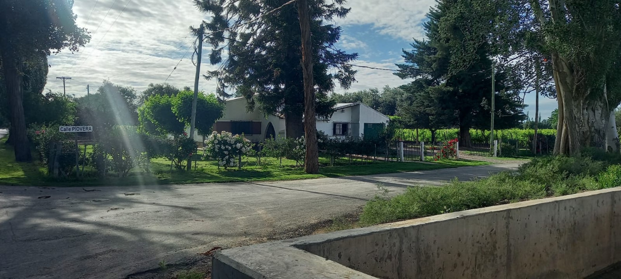 FINCA VIÑEDOS 