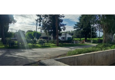 FINCA VIÑEDOS 